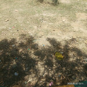  Plot For Sale in Pakhowal Road