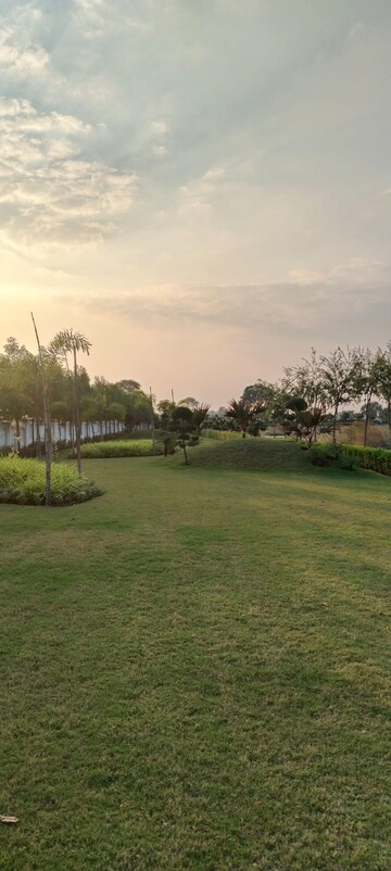Plot Area in  Plot at Nipania – for Sale