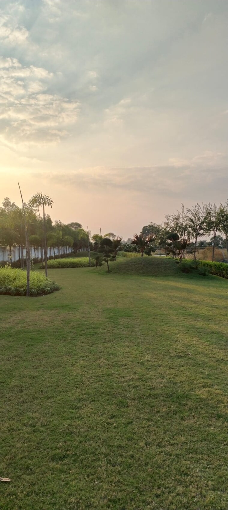 undefined, nipania  1000 Sq.Yd. Plot In Nipania Indore 8879976