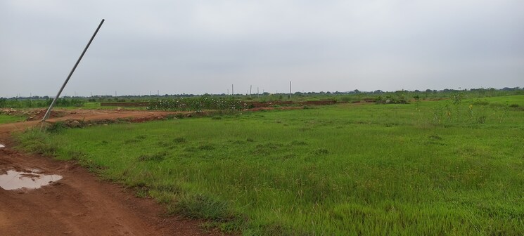 undefined, patrapada  1804 Sq.Yd. Plot In Patrapada Bhubaneswar 8880035