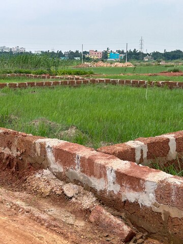 Plot Area in  Plot at Patrapada – for Sale