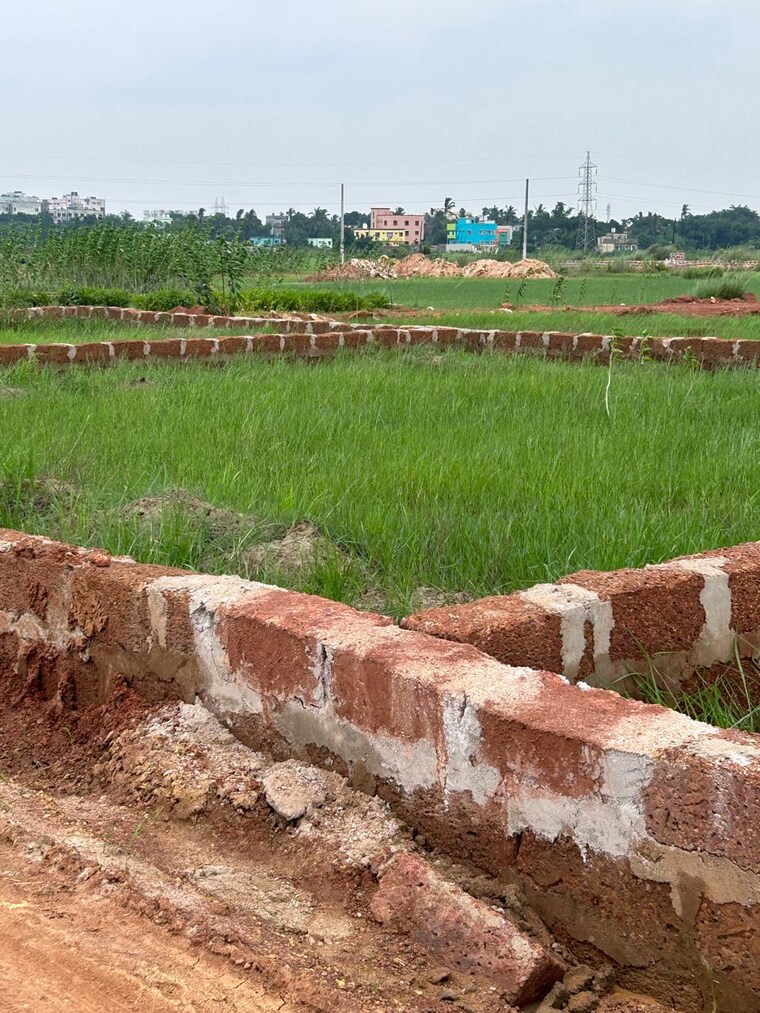 undefined, patrapada  1804 Sq.Yd. Plot In Patrapada Bhubaneswar 8880035