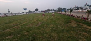 Plot Area in  Plot at Shivdaspura – for Sale