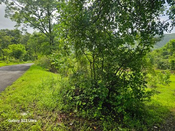  Land – Exterior View View at Mahad - for Sale