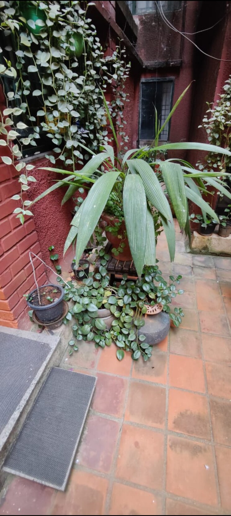 Balcony, prestige-elgin 3 Bedroom 2200 Sq.Ft. Apartment In Richmond Town Bangalore 8880377