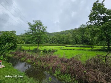  Land For Sale in Rajiwada