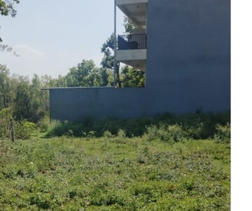 Plot Area in  Plot at Dhaulas – for Sale