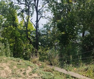 Plot Area in  Plot at Dhaulas – for Sale