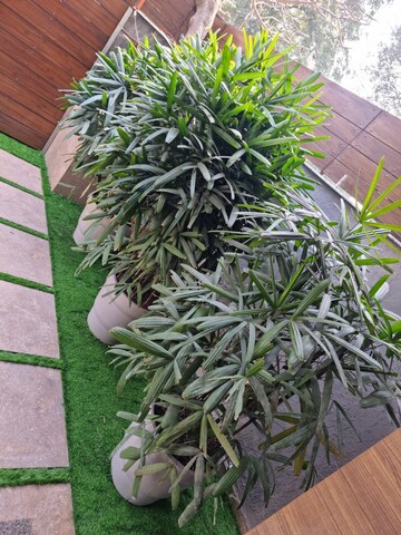 3 BHK Apartment – Exterior View View at Defence Colony - for Rent