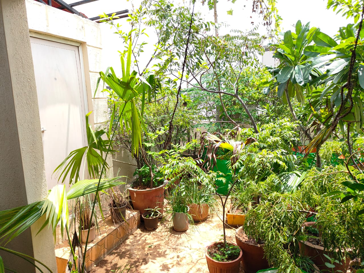 2 BHK + Pooja Room Apartment For Sale in Bramhacorp The Collection