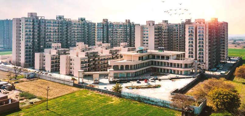 3 BHK 745 Sq.Ft. Apartment in Signature Global Grand Iva