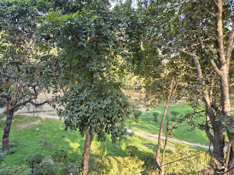 Garden, safdarjung enclave 3 Bedroom 1850 Sq.Ft. Builder Floor In Safdarjung Enclave Delhi 8880769