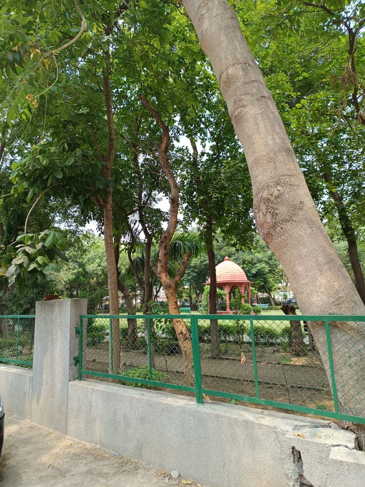 Garden, ss-mayfield-gardens 3 Bedroom 1865 Sq.Ft. Builder Floor In Sector 51 Gurgaon 8880948