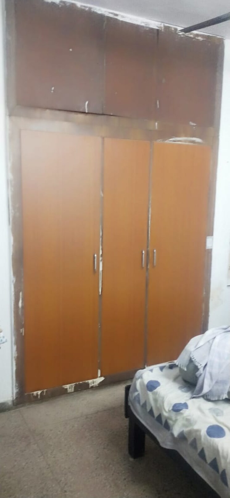 undefined, rwa-apartments-sector-26 3 Bedroom 250 Sq.Mt. Apartment In Sector 26 Noida 8880960