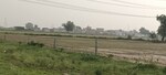 100 Sq.Yd. Plot in Basai Industrial Area