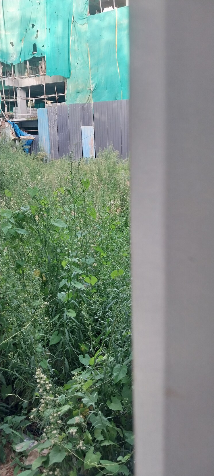 undefined, banashankari 6th stage  4000 Sq.Ft. Plot In Banashankari 6th Stage Bangalore 8881026