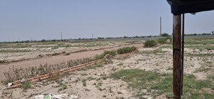  Plot For Sale in Jewar