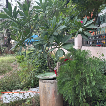  Land For Rent in Jubilee Hills