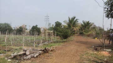 Plot Area in  Plot at Bhatagaon – for Sale