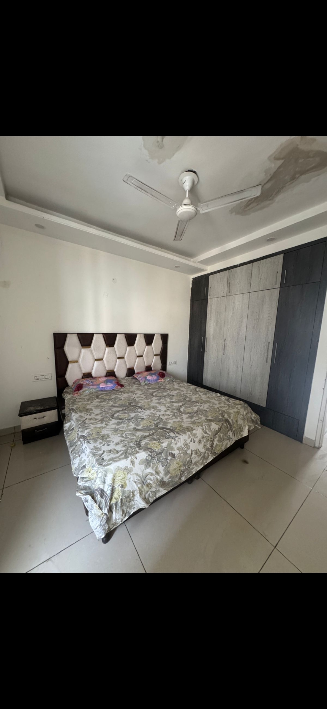 3 BHK + Pooja Room Builder Floor For Rent in Shiva Home 