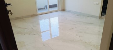 Room in 3 BHK Builder Floor at Sector 14 – for Rent