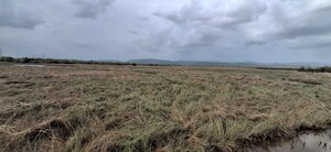 Plot Area in  Plot at Cbd Belapur – for Sale