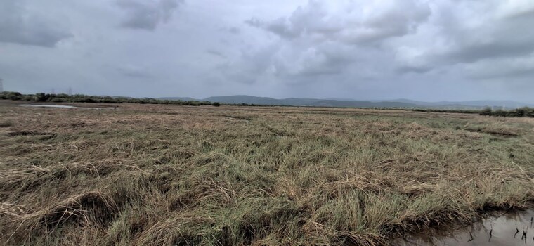 undefined, cbd belapur  1089 Sq.Ft. Plot In Cbd Belapur Navi Mumbai 8882147