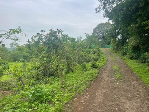  Plot – Exterior View View at Cbd Belapur - for Sale