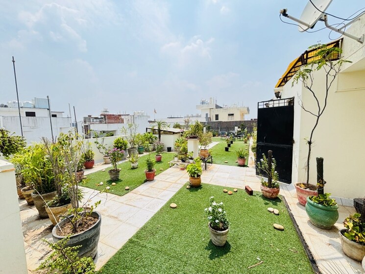 Garden, sector 67 3 Bedroom 251 Sq.Yd. Builder Floor In Sector 67 Gurgaon 8882182