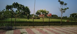  Plot – Exterior View View at Pinewood Enclave, Wave City - for Sale