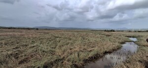  Plot For Sale in Sanpada