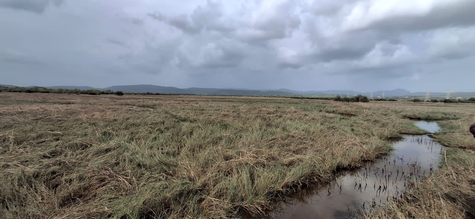 Plot For Sale in Sanpada