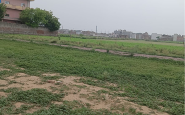 Plot For Sale in Sector 56