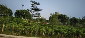  Plot – Garden View at Pinewood Enclave, Wave City - for Sale