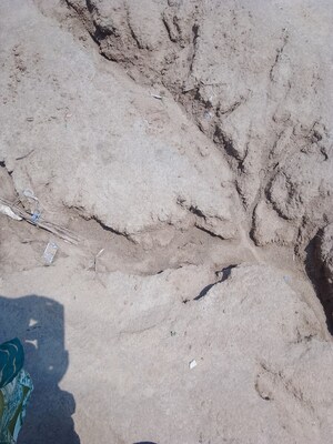  Plot For Sale in Ashok Nagar