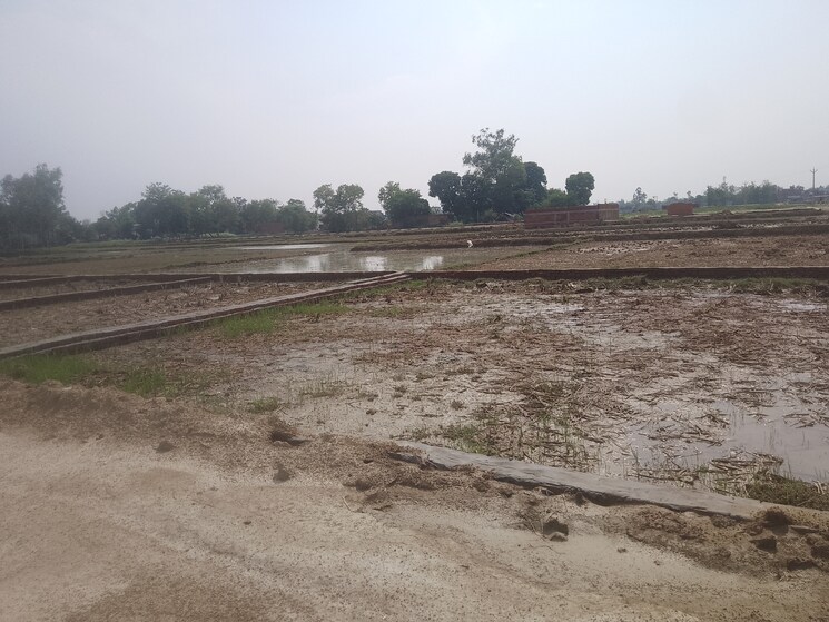 undefined, nh 24  1000 Sq.Yd. Plot In Nh 24 Gorakhpur 8882508