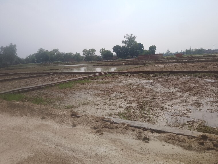 undefined, nh 24  1000 Sq.Yd. Plot In Nh 24 Gorakhpur 8882508