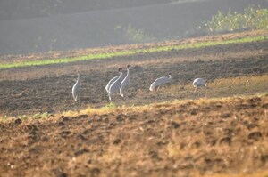  Land For Sale in Airport Road