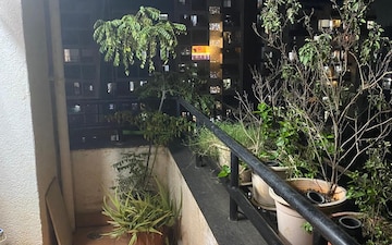 1 BHK Apartment For Rent in Bhujbal Township, Kothrud