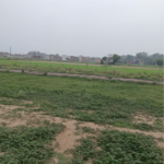 76 Sq.Yd. Plot in Bala Ji Developers 