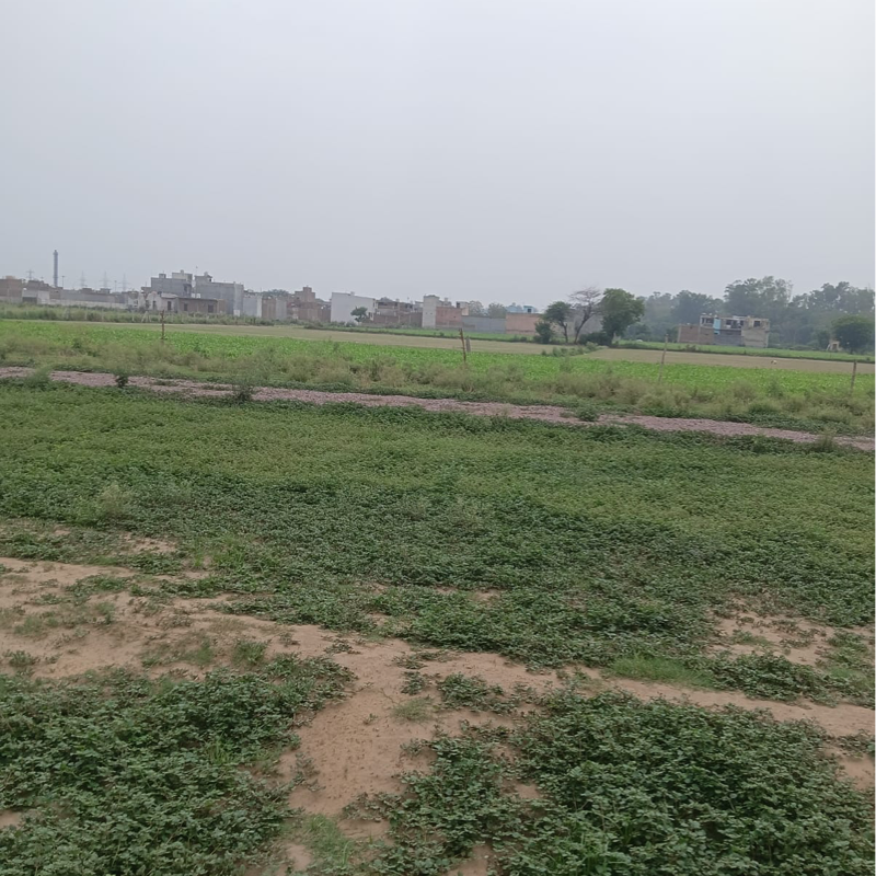 Plot For Sale in Bala Ji Developers 
