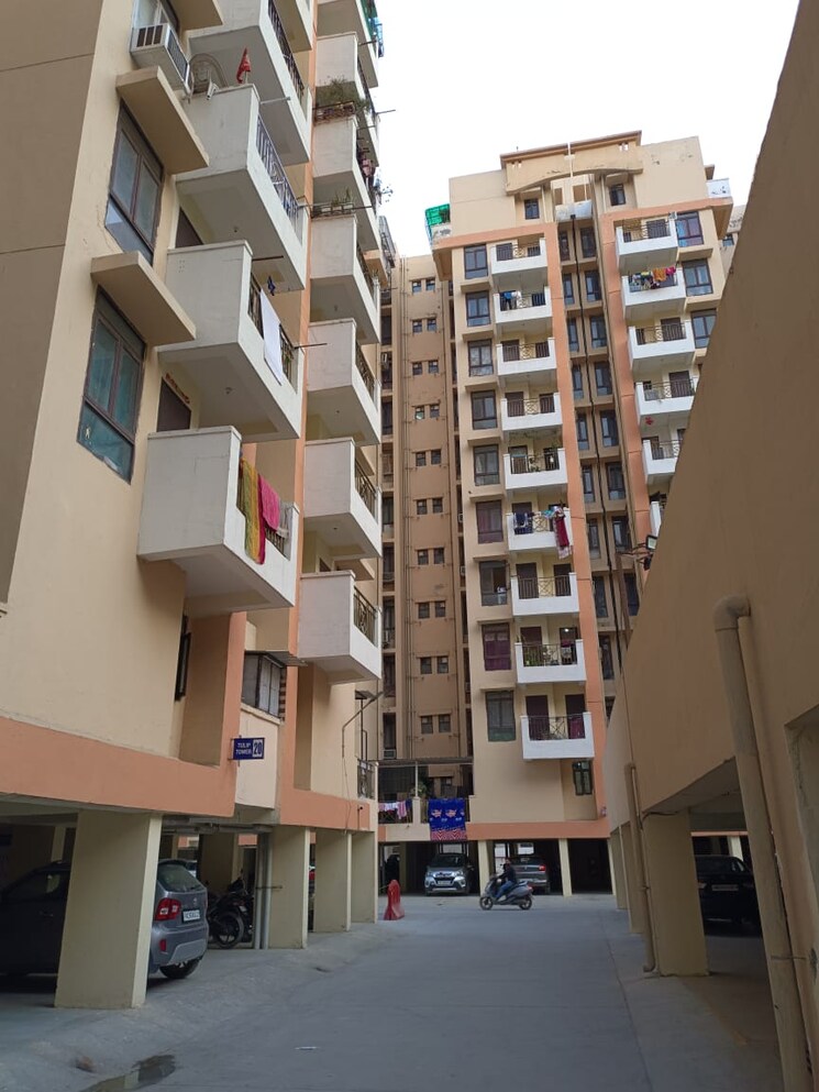 Exterior View, apex-our-homes 2 Bedroom 820 Sq.Ft. Apartment In Sector 37c Gurgaon 8882749