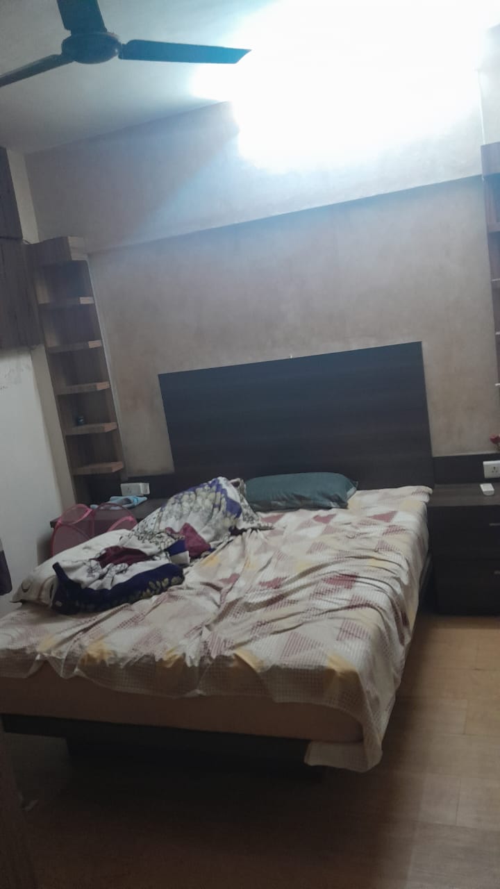 1 BHK Apartment For Rent in Royal Palms