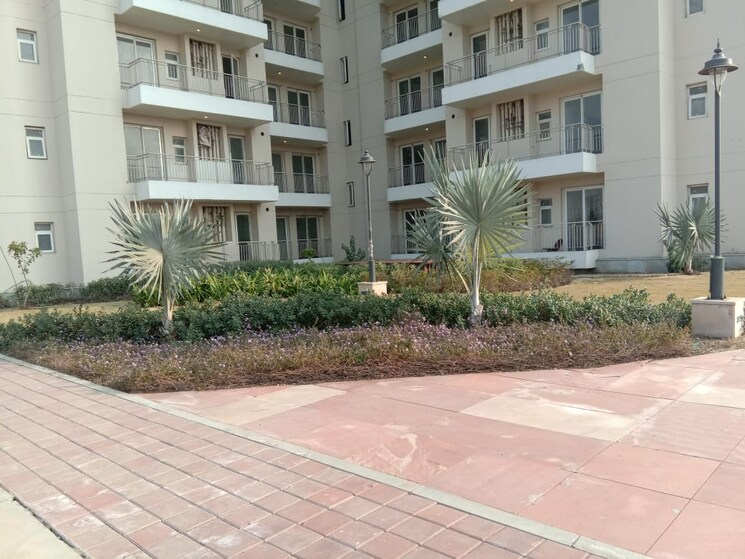 Exterior View, bptp-discovery-park 2 Bedroom 1250 Sq.Ft. Apartment In Sector 80 Faridabad 8883006