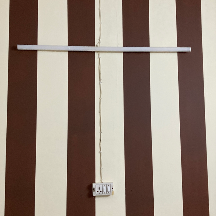 undefined, rwa-apartments-sector-19 1 RK 500 Sq.Ft. Independent House In Sector 19 Noida 8883768