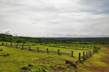 Plot Area in  Plot at Guhagar – for Sale