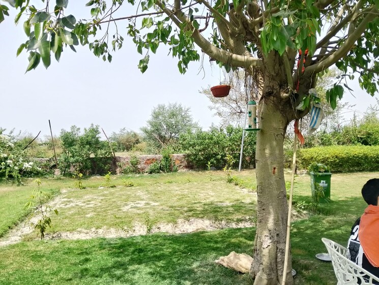 Garden, sector 150 2 Bedroom 1008 Sq.Yd. Villa In Sector 150 Noida 8874049