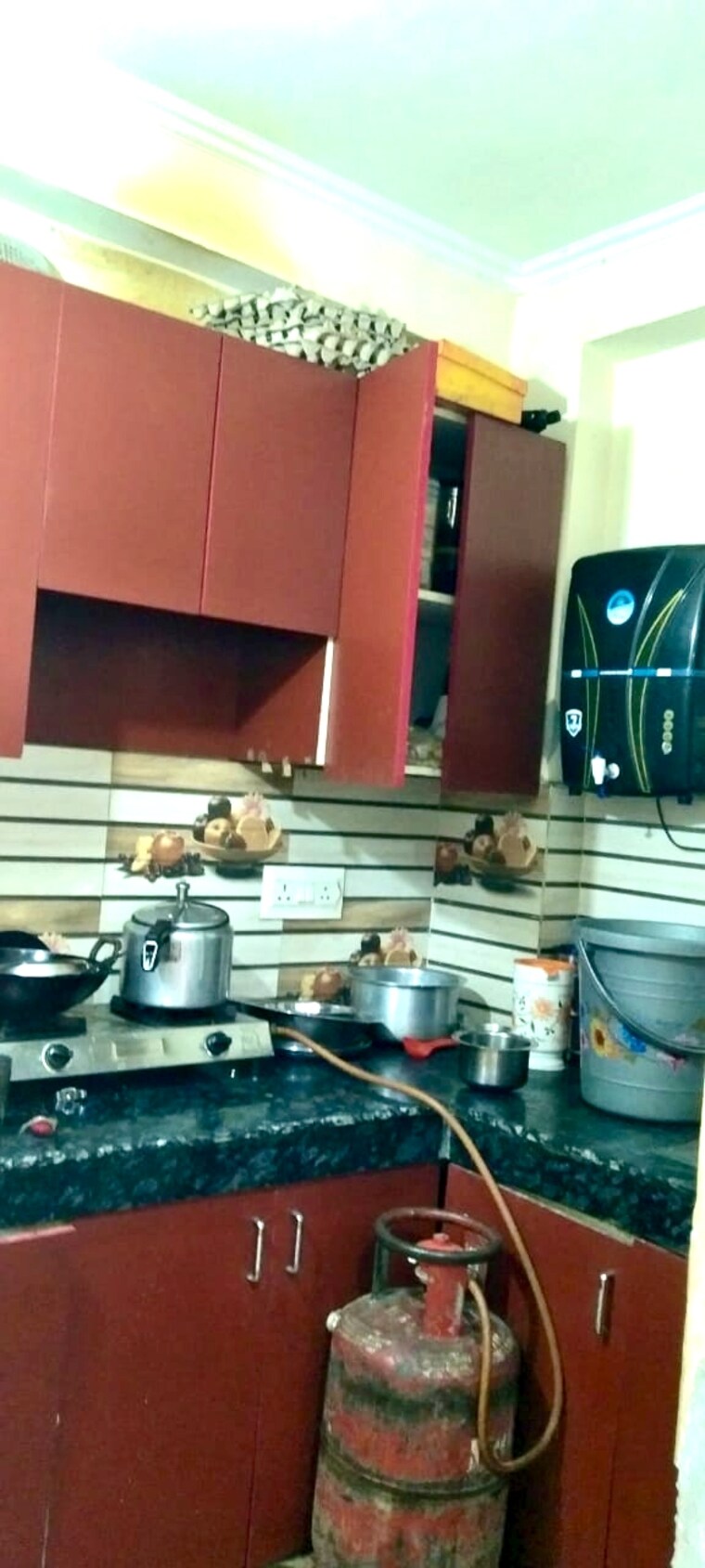 Gym, mehrauli 2 Bedroom 550 Sq.Ft. Builder Floor In Mehrauli Delhi 8883992