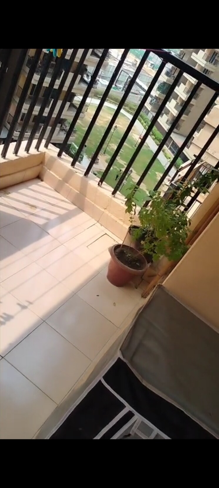 Balcony, gaur-city-2-14th-avenue 2 Bedroom 614 Sq.Ft. Apartment In Sector 16c Greater Noida Greater Noida 8884134