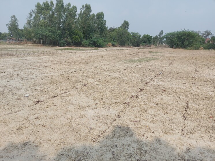 undefined, raebareli road  1545 Sq.Ft. Plot In Raebareli Road Lucknow 8884428